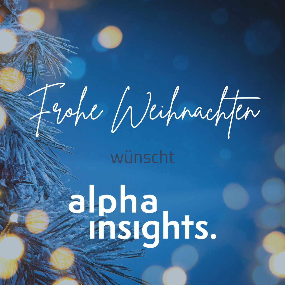 Frohe Weihnachten wünscht AlphaInsights